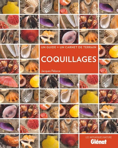 Coquillages - Jacques Pelorce - GLENAT