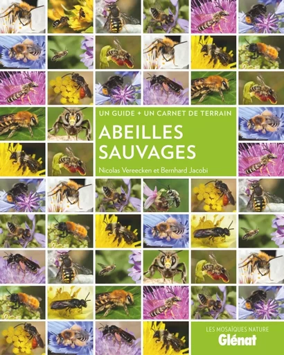 Abeilles sauvages - Nicolas Vereecken, Bernhard Jacobi - GLENAT