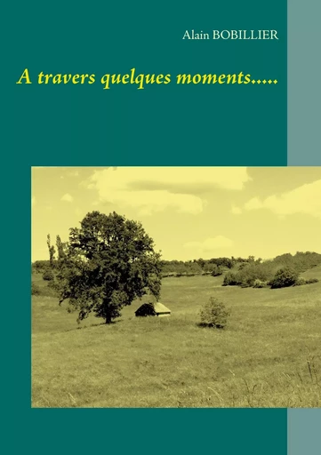 A travers quelques moments..... - Alain Bobillier - BOOKS ON DEMAND