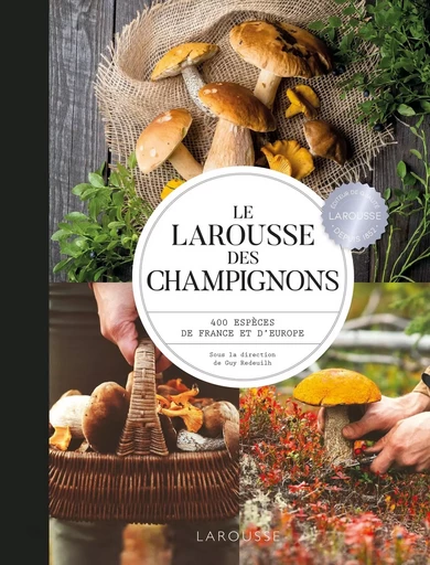 Larousse des champignons -  Collectif - LAROUSSE