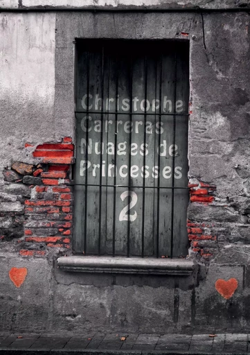 Nuages des Princesses 2 - Christophe Carreras - BOOKS ON DEMAND