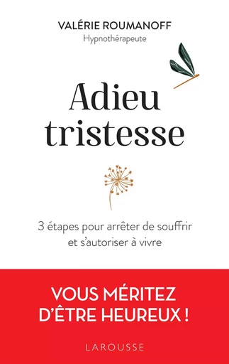 Adieu tristesse - Valérie Roumanoff - LAROUSSE