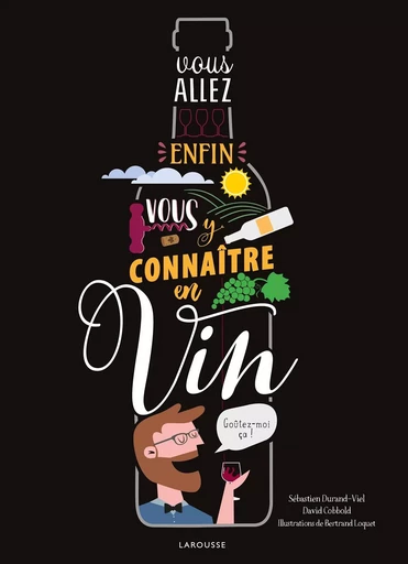 Vous allez enfin vous y connaître en vin - David Cobbold, Sébastien Durand-Viel - LAROUSSE