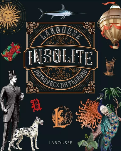 L'insolite -  Collectif - LAROUSSE