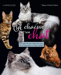 A chacun son chat