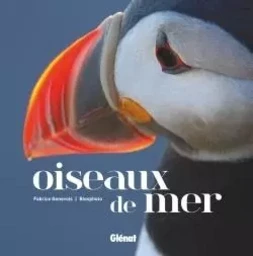 Oiseaux de mer