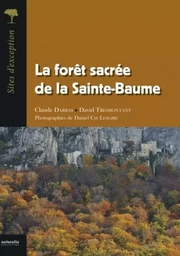 La forêt sacrée de la Sainte-Baume