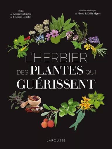 L'Herbier des plantes qui guérissent - Pierre Vignes, Délia VIGNES, Gérard Debuigne, François Couplan - LAROUSSE