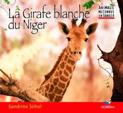 La Girafe Blanche Du Niger -  SILHOL Sandrine - D'ORBESTIER EDITIONS