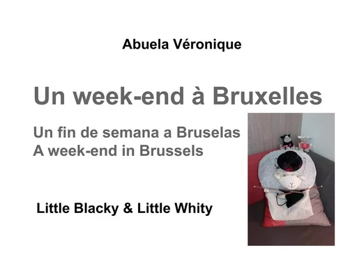 Un week-end à Bruxelles - Abuela Véronique - BOOKS ON DEMAND