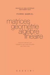 Matrices, géométrie, algèbre linéaire