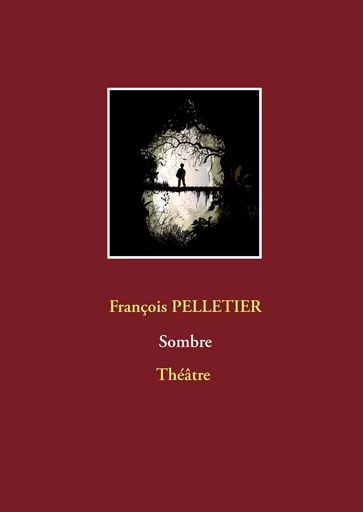 Sombre - François Pelletier - BOOKS ON DEMAND