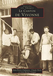 Vivonne (Canton de)