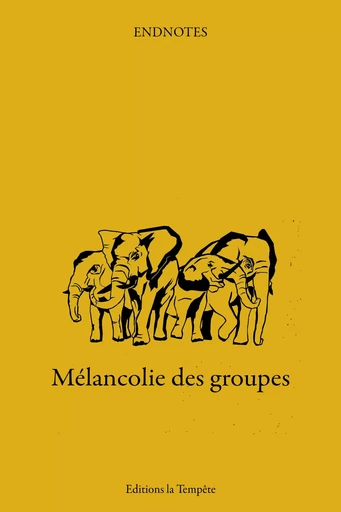 Mélancolie des groupes -  Endnotes - TEMPETE