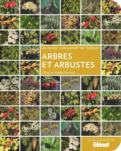 Arbres et arbustes - Olivier Peyronel, Aurélie Peyronel - GLENAT