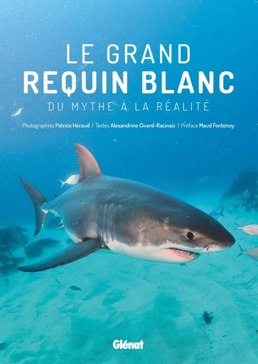 Le grand requin blanc - Alexandrine Civard-Racinais - GLENAT