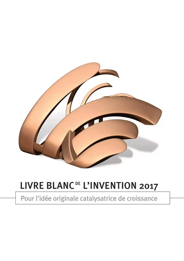 Livre blanc de l'invention 2017 - Catherine Kuszla-Chevalier, Yvon Pesqueux, Catherine Pouget-Cauchy, Alain Saussez, Olivier Ferrari, Grégoire Dauge, Frédéric Guénin, Alexandre Scheck - BOOKS ON DEMAND