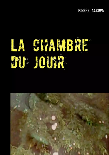 La chambre du jouir - Pierre Alcopa - BOOKS ON DEMAND