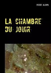 La chambre du jouir