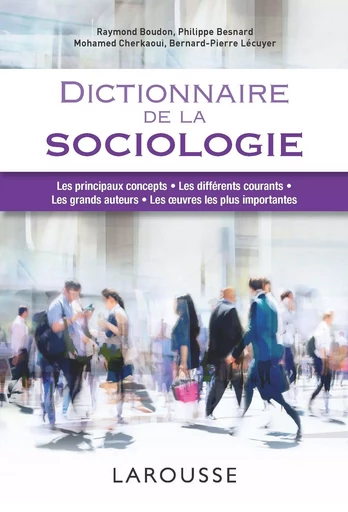 Dictionnaire de la sociologie - Raymond Boudon, Philippe Besnard, Mohamed Cherkaoui, Bernard-Pierre Lecuyer - LAROUSSE