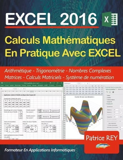 EXCEL 2016 - calculs mathematiques en pratique - Patrice Rey - BOOKS ON DEMAND