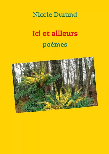 Ici et ailleurs - Nicole Durand - BOOKS ON DEMAND