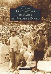 Saulx et Noroy-le-Bourg (Cantons de)