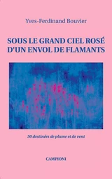 SOUS LE GRAND CIEL ROSÉ D'UN ENVOL DE FLAMANTS (50 destinées de plume et de vent)