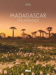 Madagascar