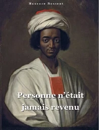 Personne n'était jamais revenu, la vie d'Ayouba Suleiman Diallo happé par la traite négrière