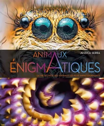 Enigmatiques - La vie secrète des animaux les plus impressionnants