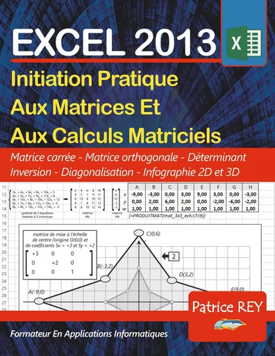 Les Matrices Avec EXCEL 2013 - Patrice Rey - BOOKS ON DEMAND