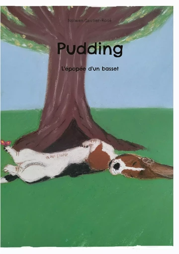 Pudding - Nolwen Gautier-Rosé - BOOKS ON DEMAND