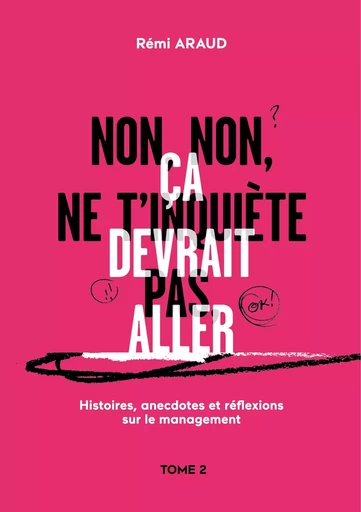 Non, non, ne t'inquiète pas, ça devrait aller - Rémi Araud - BOOKS ON DEMAND