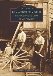 Vineuil (Canton de)