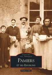 Pamiers et ses environs