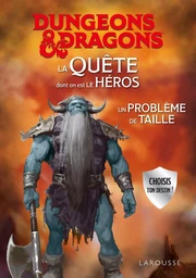 DUNGEONS & DRAGONS La Quête dont on est le héros - Un problème de taille