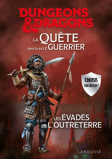 DUNGEONS & DRAGONS La Quête dont tu es le guerrier - Les évadés de l'Outreterre -  Collectif - LAROUSSE