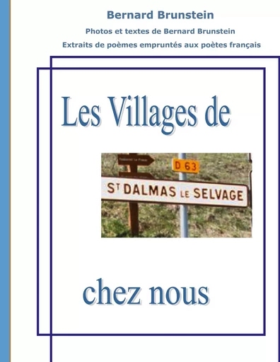 Saint Dalmas le Selvage - Bernard Brunstein - BOOKS ON DEMAND