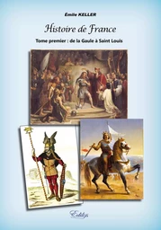 Histoire de France, Tome premier, de la Gaule à Saint Louis