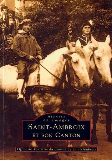 Saint-Ambroix et son canton -  - Editions Sutton