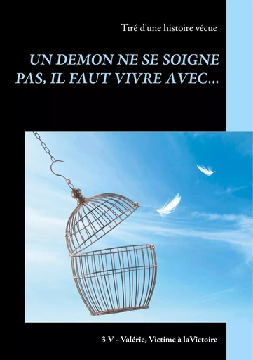 UN DEMON NE SE SOIGNE PAS, IL FAUT VIVRE AVEC... - Valérie P. - BOOKS ON DEMAND