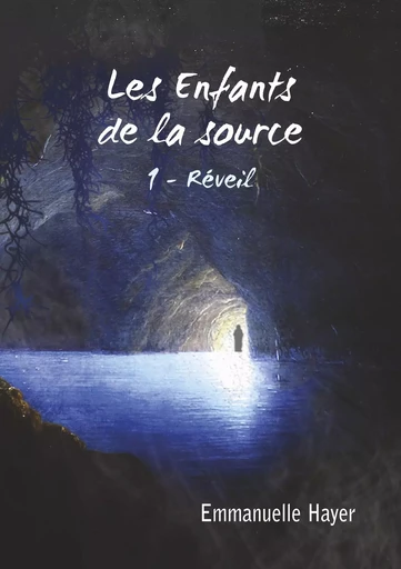 Les Enfants de la Source - Emmanuelle Hayer - BOOKS ON DEMAND