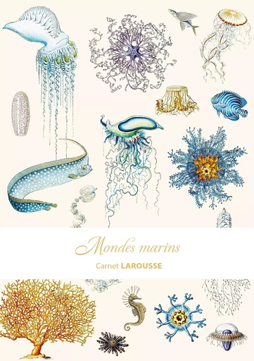 Carnet Larousse - Mondes sous-marins -  Collectif - LAROUSSE