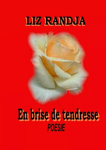 En brise de tendresse - Liz Randja - BOOKS ON DEMAND