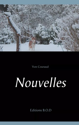 Nouvelles - Yves Couraud - BOOKS ON DEMAND