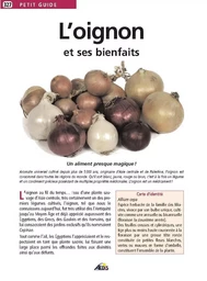 L'oignon et ses bienfaits