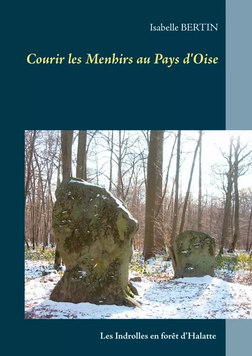 Courir les Menhirs au Pays d'Oise - Isabelle Bertin - BOOKS ON DEMAND