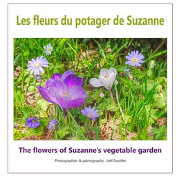 Les fleurs du potager de Suzanne