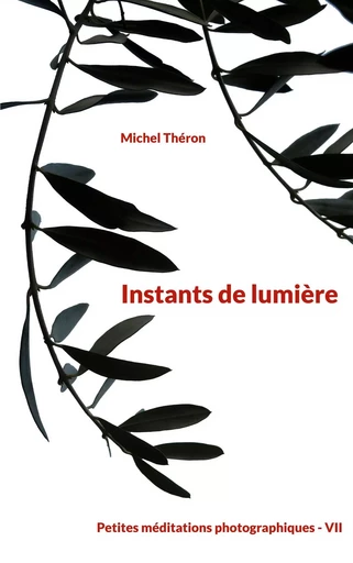 Instants de lumière - Michel Théron - BOOKS ON DEMAND